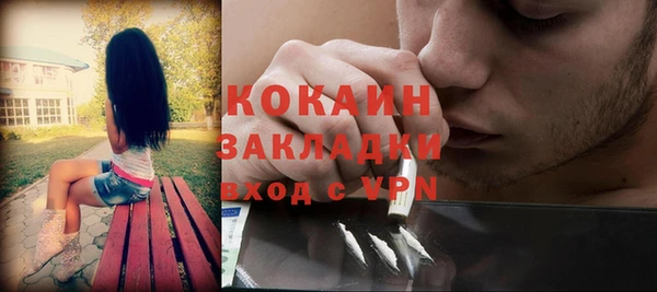 прущие грибы Абинск