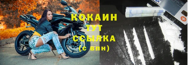 прущие грибы Абинск